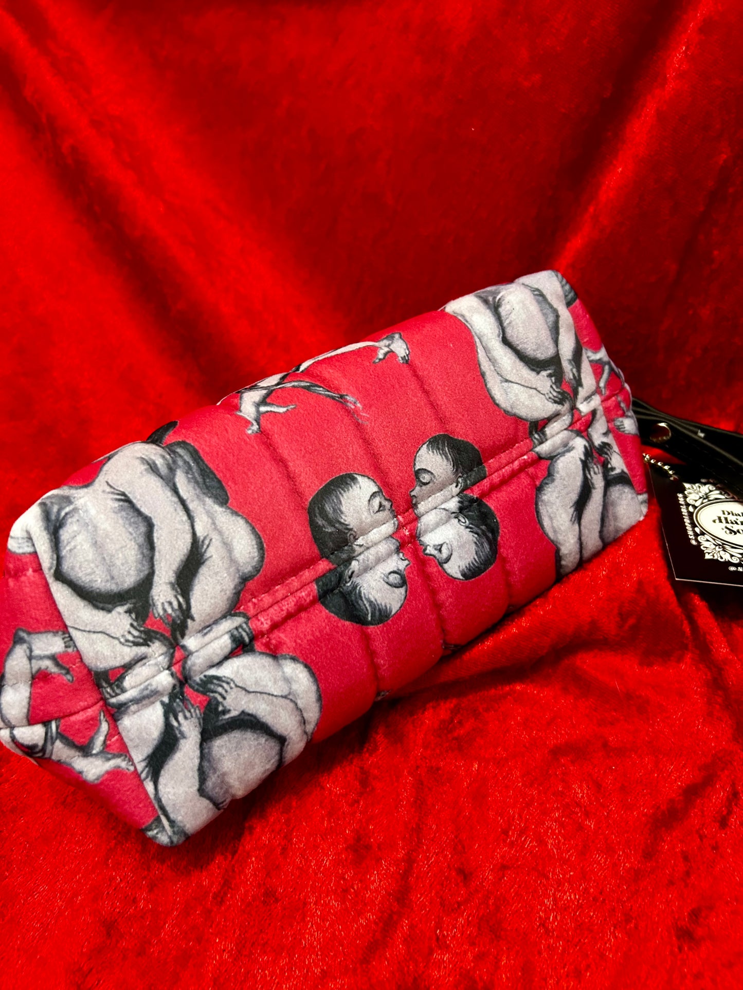 Conjoined Twins Mini Kisslock Handbag