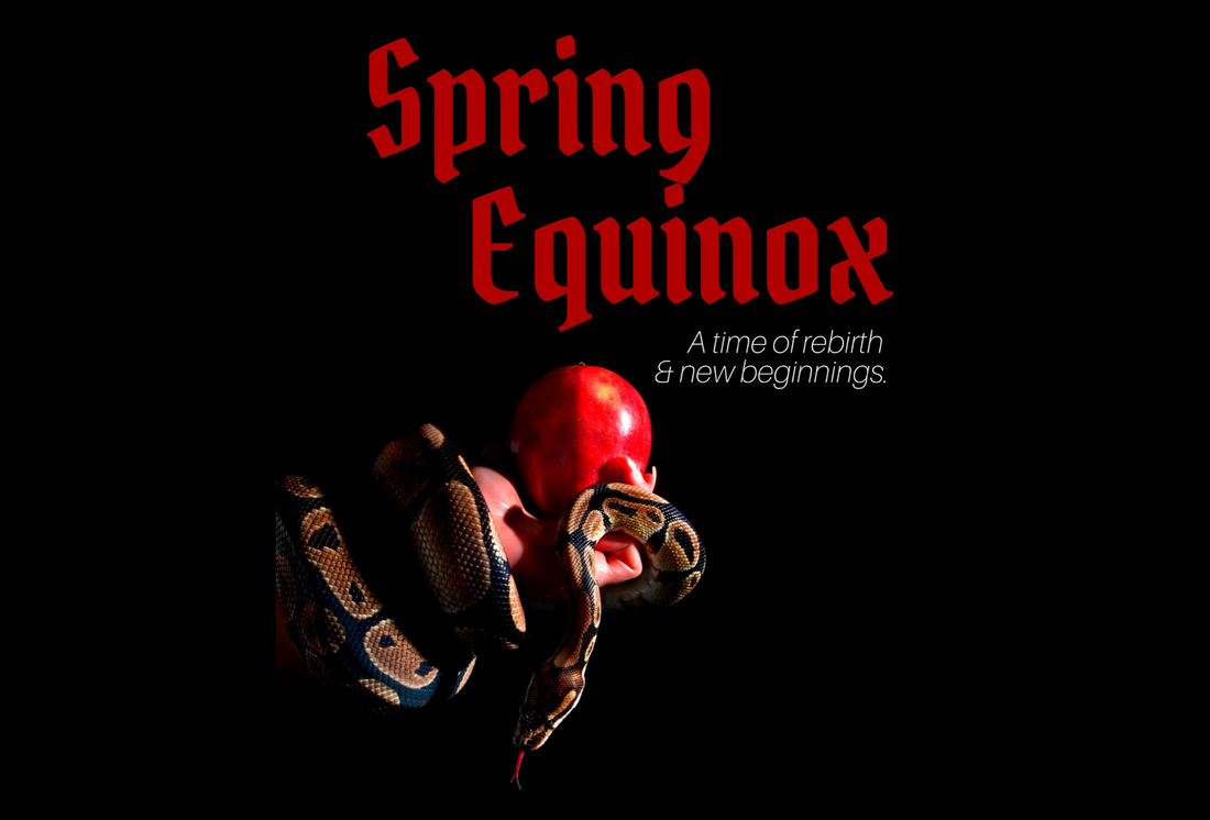 Spring Equinox ::: A Time of New Beginnings
